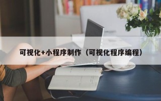 宣汉可视化+小程序制作（可视化程序编程）